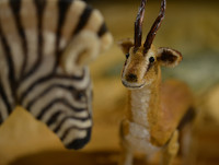 Erzaehlen mit den Figuren eines Zebras und einer Gazelle